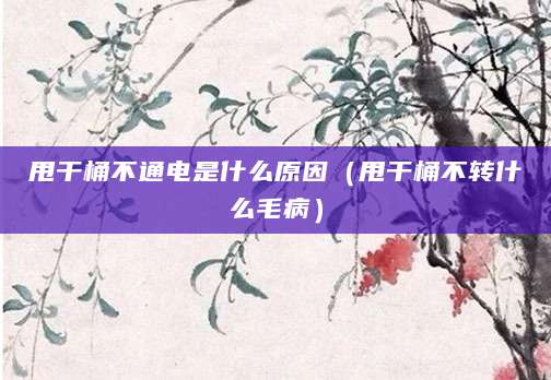 甩干桶不通电是什么原因（甩干桶不转什么毛病）