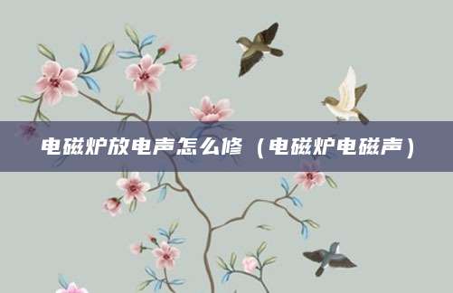 电磁炉放电声怎么修（电磁炉电磁声）