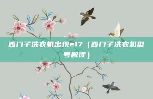 西门子洗衣机出现e17（西门子洗衣机型号解读）