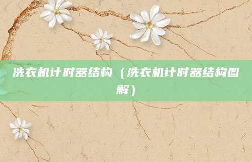 洗衣机计时器结构（洗衣机计时器结构图解）