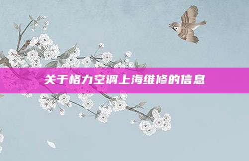 关于格力空调上海维修的信息