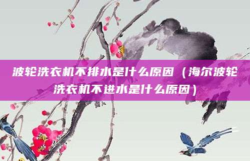 波轮洗衣机不排水是什么原因（海尔波轮洗衣机不进水是什么原因）