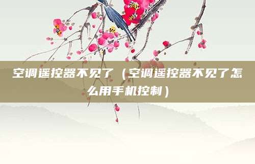 空调遥控器不见了（空调遥控器不见了怎么用手机控制）