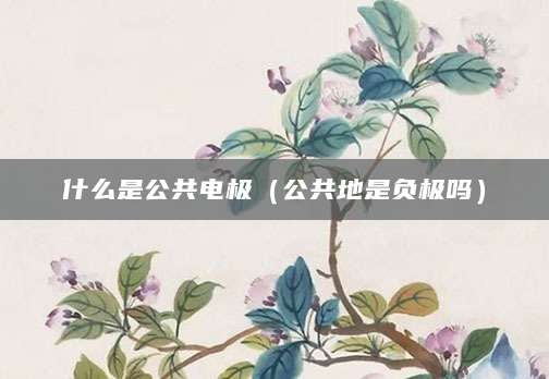 什么是公共电极（公共地是负极吗）