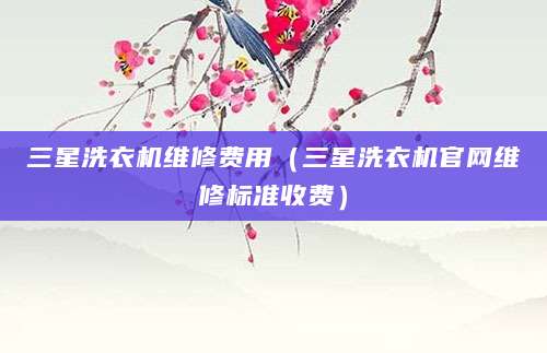 三星洗衣机维修费用（三星洗衣机官网维修标准收费）