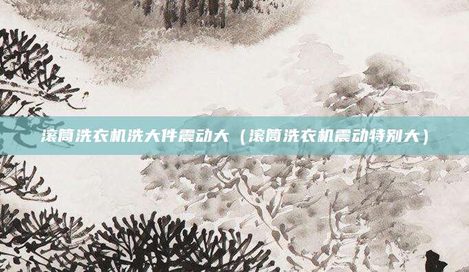 滚筒洗衣机洗大件震动大（滚筒洗衣机震动特别大）