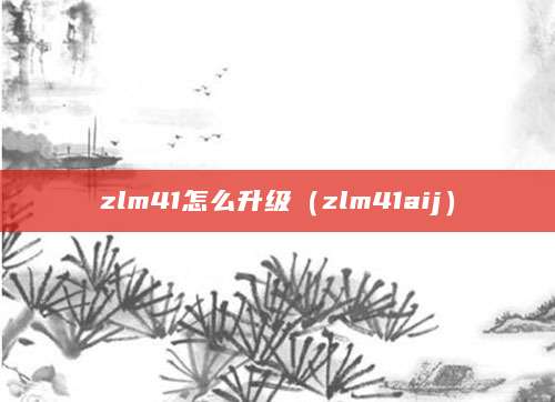 zlm41怎么升级（zlm41aij）