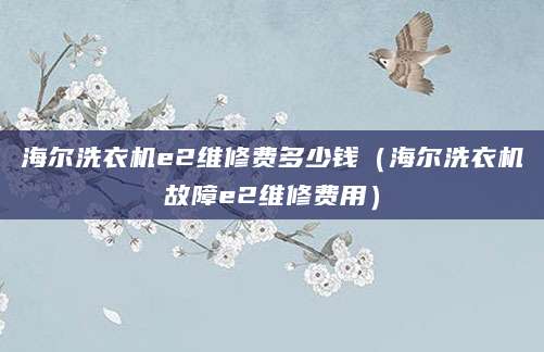 海尔洗衣机e2维修费多少钱（海尔洗衣机故障e2维修费用）