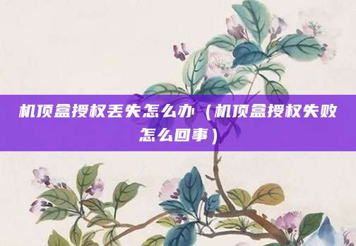 机顶盒授权丢失怎么办（机顶盒授权失败怎么回事）