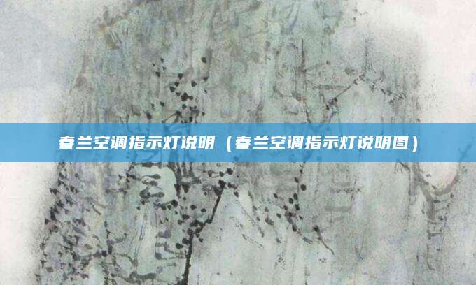 春兰空调指示灯说明（春兰空调指示灯说明图）