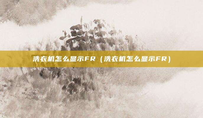 洗衣机怎么显示FR(洗衣机怎么显示FR)