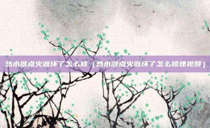 热水器点火器坏了怎么修（热水器点火器坏了怎么修理视频）