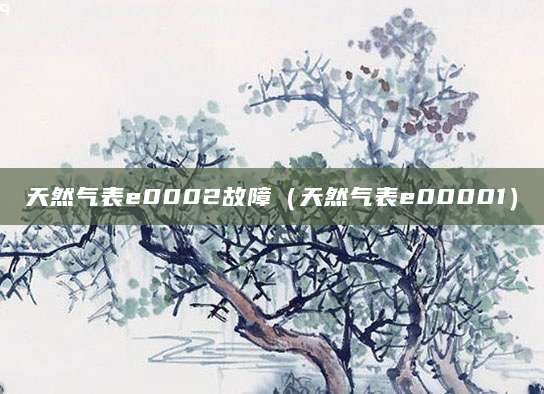 天然气表e0002故障(天然气表e00001)