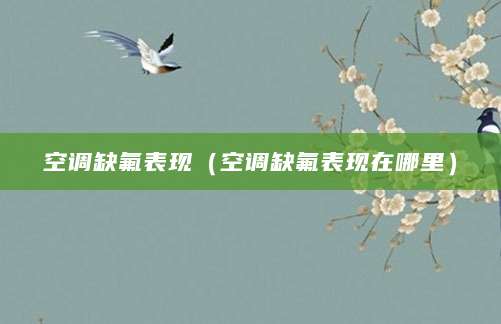 空调缺氟表现(空调缺氟表现在哪里)
