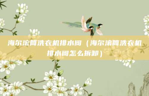 海尔滚筒洗衣机排水阀（海尔滚筒洗衣机排水阀怎么拆卸）