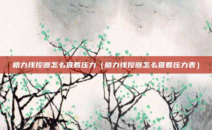 格力线控器怎么查看压力（格力线控器怎么查看压力表）