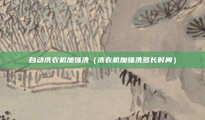 自动洗衣机加强洗（洗衣机加强洗多长时间）