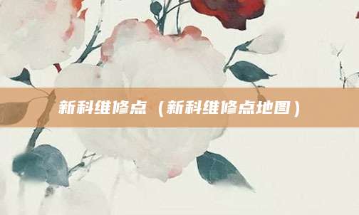 新科维修点（新科维修点地图）