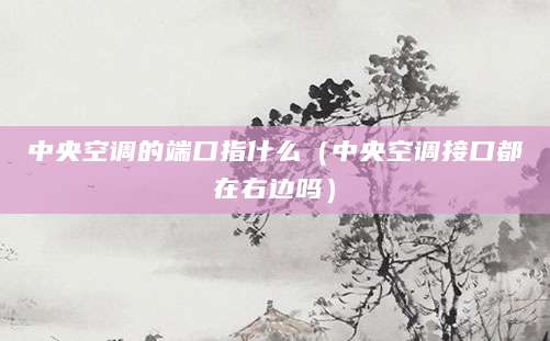 中央空调的端口指什么（中央空调接口都在右边吗）