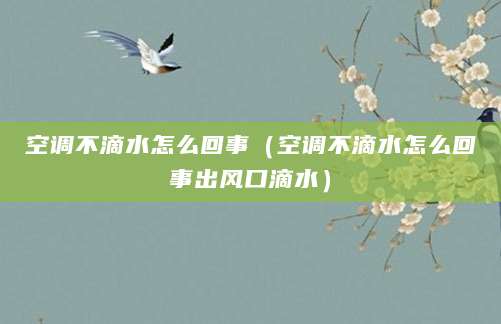 空调不滴水怎么回事（空调不滴水怎么回事出风口滴水）