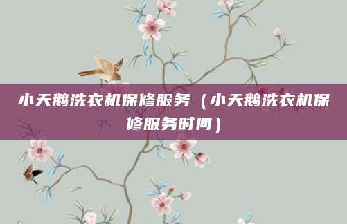 小天鹅洗衣机保修服务（小天鹅洗衣机保修服务时间）