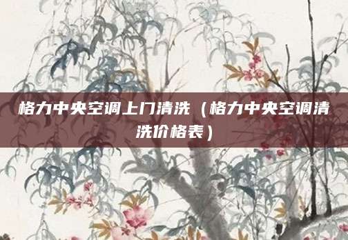 格力中央空调上门清洗（格力中央空调清洗价格表）