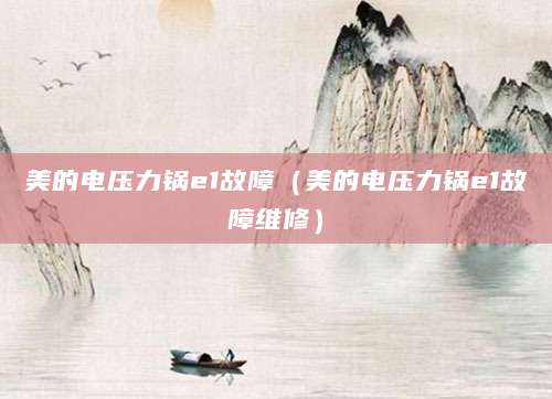 美的电压力锅e1故障（美的电压力锅e1故障维修）