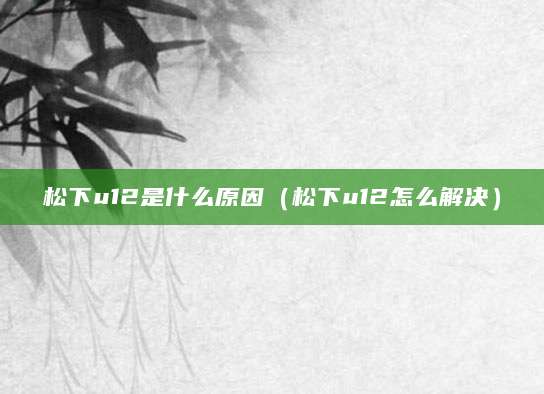 松下u12是什么原因（松下u12怎么解决）