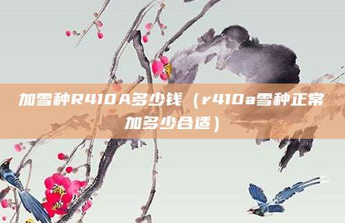 加雪种R410A多少钱(r410a雪种正常加多少合适)