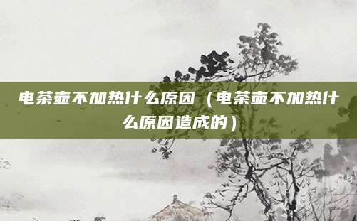 电茶壶不加热什么原因（电茶壶不加热什么原因造成的）