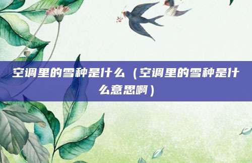 空调里的雪种是什么（空调里的雪种是什么意思啊）