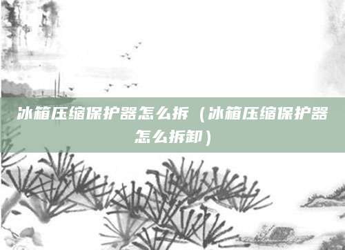 冰箱压缩保护器怎么拆（冰箱压缩保护器怎么拆卸）