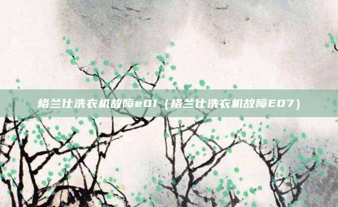 格兰仕洗衣机故障e01（格兰仕洗衣机故障E07）