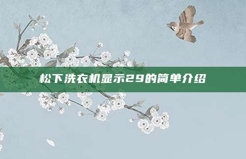 松下洗衣机显示29的简单介绍