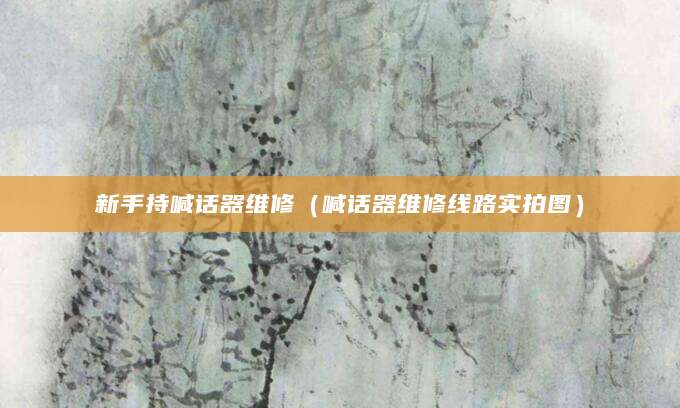 新手持喊话器维修（喊话器维修线路实拍图）