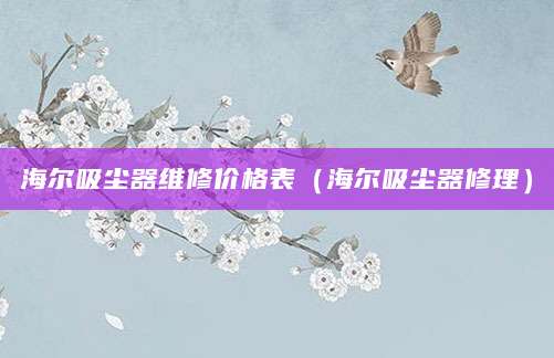 海尔吸尘器维修价格表（海尔吸尘器修理）