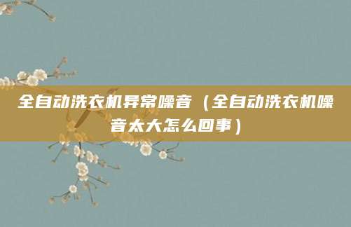 全自动洗衣机异常噪音（全自动洗衣机噪音太大怎么回事）