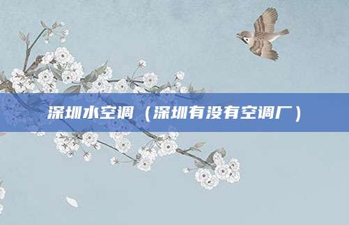 深圳水空调(深圳有没有空调厂)