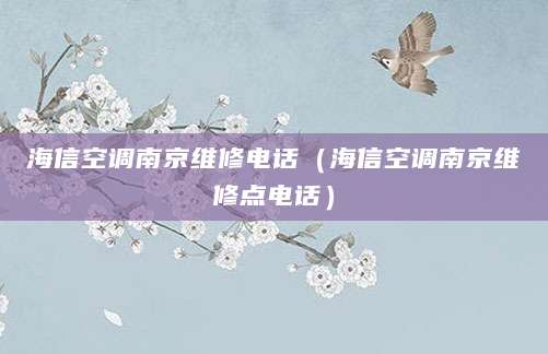 海信空调南京维修电话(海信空调南京维修点电话)
