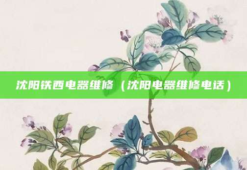 沈阳铁西电器维修（沈阳电器维修电话）