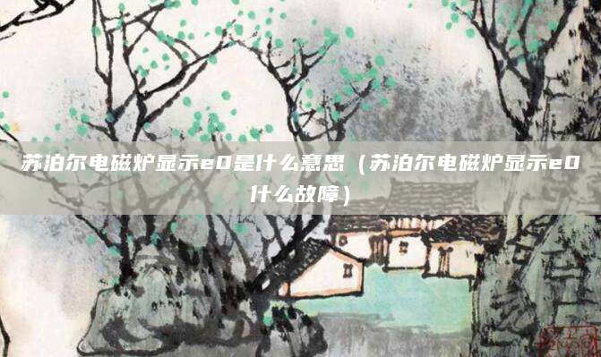 苏泊尔电磁炉显示e0是什么意思（苏泊尔电磁炉显示e0什么故障）