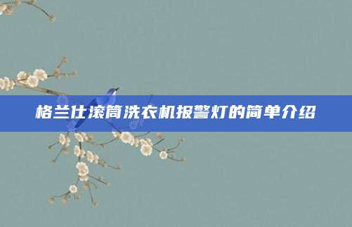 格兰仕滚筒洗衣机报警灯的简单介绍