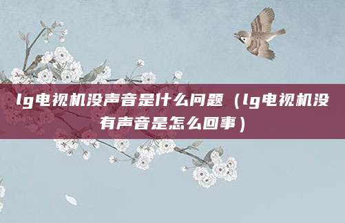 lg电视机没声音是什么问题（lg电视机没有声音是怎么回事）