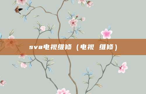 sva电视维修（电视 维修）