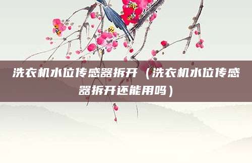 洗衣机水位传感器拆开（洗衣机水位传感器拆开还能用吗）