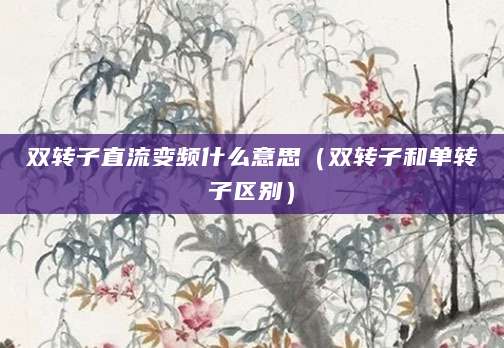 双转子直流变频什么意思（双转子和单转子区别）