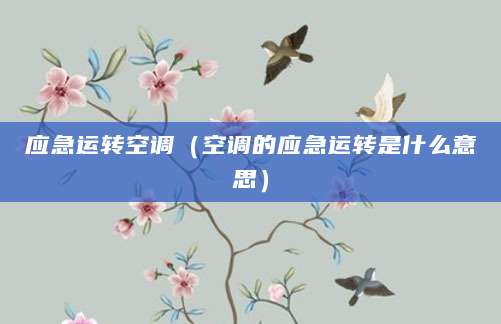 应急运转空调（空调的应急运转是什么意思）