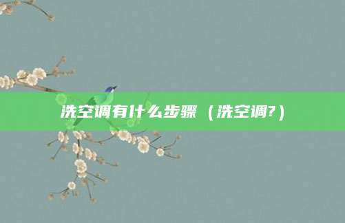洗空调有什么步骤（洗空调?）