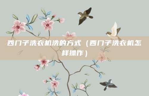 西门子洗衣机洗的方式（西门子洗衣机怎样操作）
