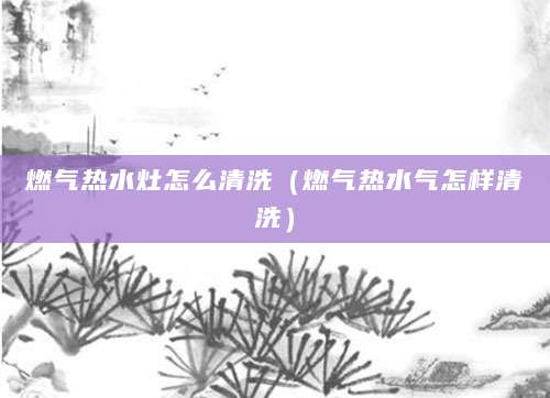燃气热水灶怎么清洗（燃气热水气怎样清洗）